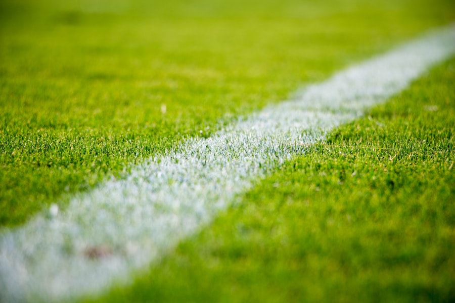 Campo sportivo anonimo, linea sull’erba
